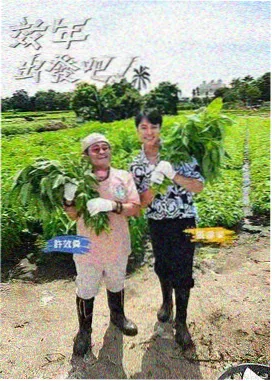 综合91 综艺 歌手